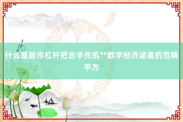 什么是股市杠杆把合手先机**数字经济涵盖的范畴平方