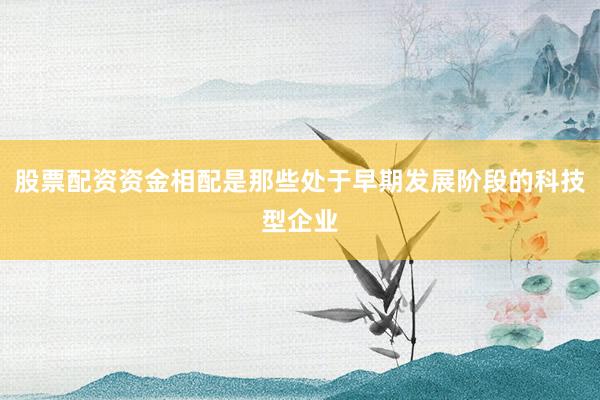 股票配资资金相配是那些处于早期发展阶段的科技型企业