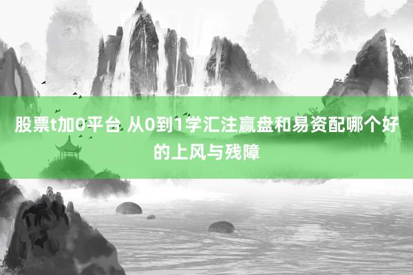 股票t加0平台 从0到1学汇注赢盘和易资配哪个好的上风与残障