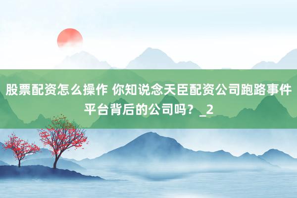 股票配资怎么操作 你知说念天臣配资公司跑路事件平台背后的公司吗？_2