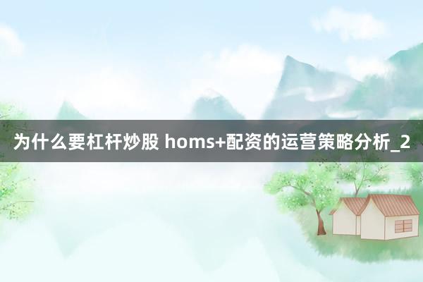 为什么要杠杆炒股 homs+配资的运营策略分析_2